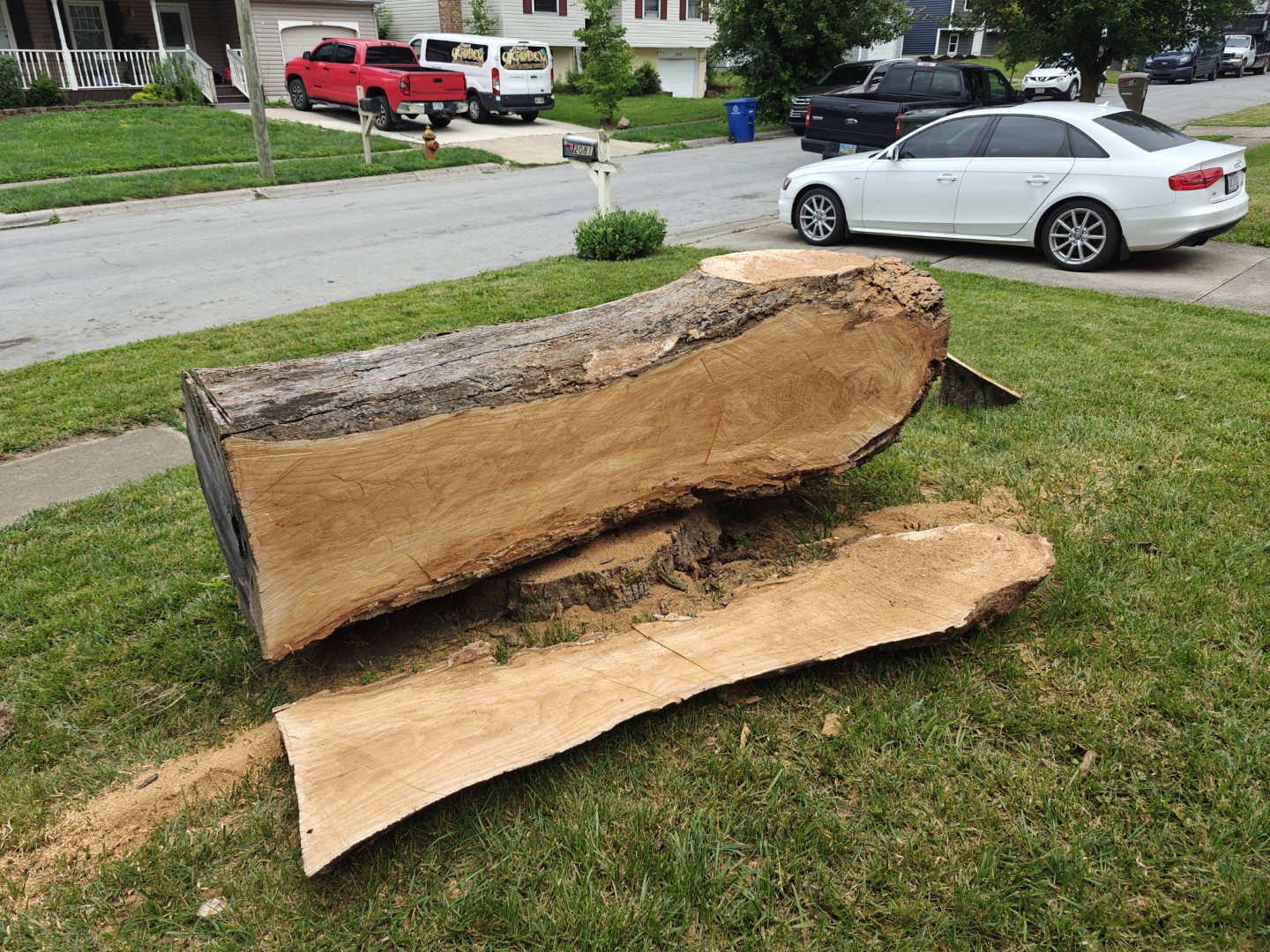 Log with first slab cut