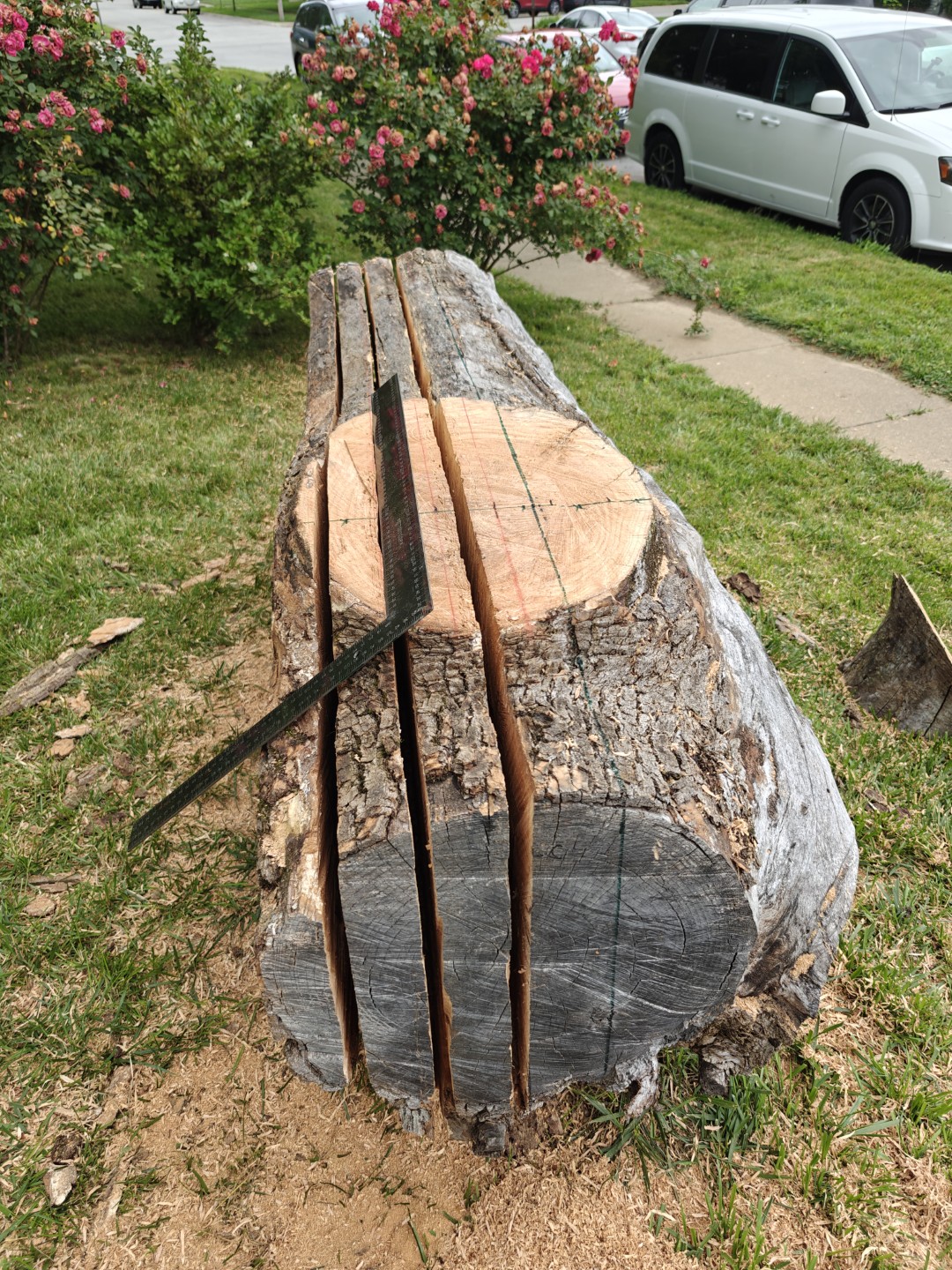 Lines drawn on log with markers